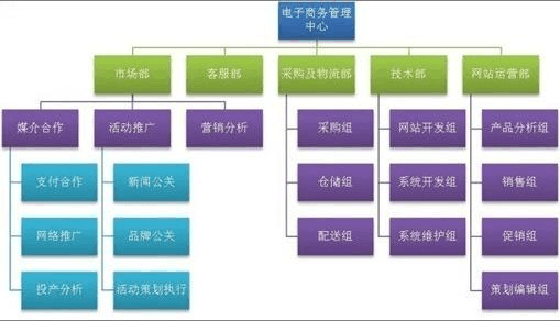 電子商務(wù)B2C團(tuán)隊(duì)組織架構(gòu)及平臺(tái)開發(fā)與運(yùn)營(yíng)