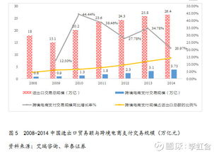 跨境電子支付發(fā)展勢頭迅猛 中國對外貿(mào)易與電子商務(wù)的雙輪驅(qū)動機遇。